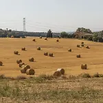 Nyaraló Ca La Maria